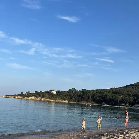 Solenzara- 5 Personnes Vue Dans Avec Piscine Сари-Соленцара